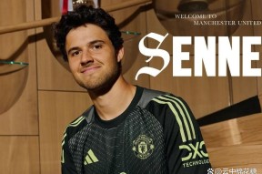 桑巴球星火速转会欧洲豪门，或成关键先生的简单介绍