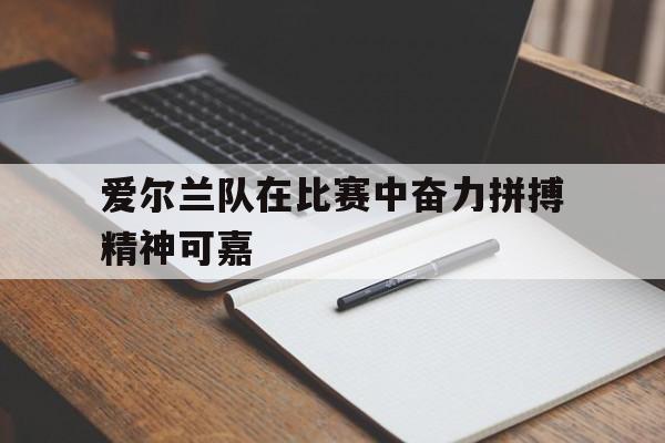 关于爱尔兰队在比赛中奋力拼搏精神可嘉的信息